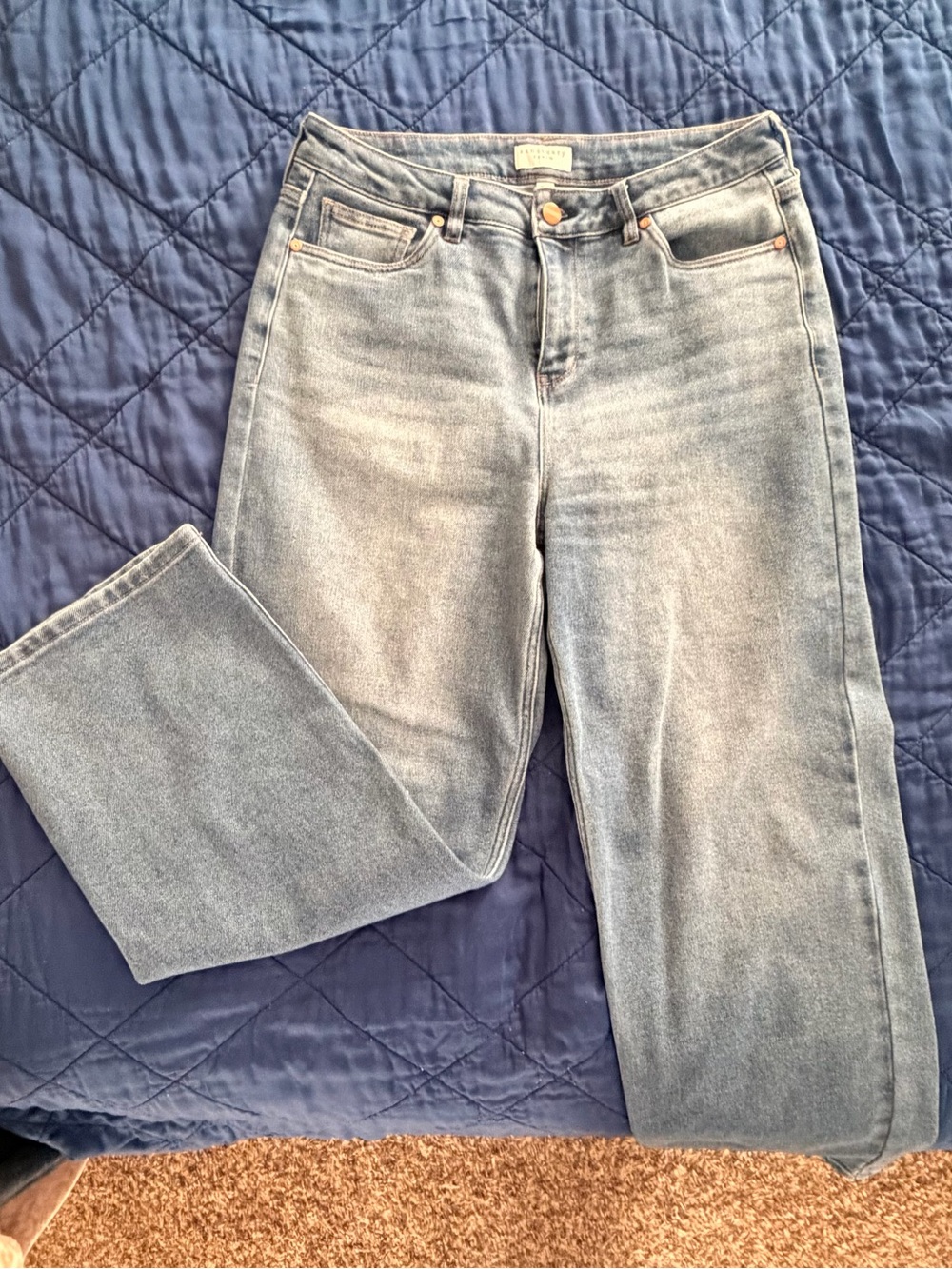 Sanctuary Straight Leg Jeans in Light Blue Wash